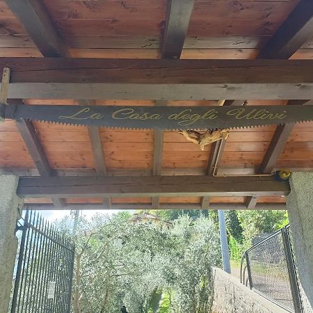 Casa Delle Olive 1 Apartment Oliveto Lario Екстериор снимка