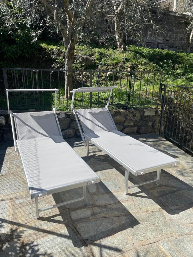 Casa Delle Olive 1 Apartment Oliveto Lario Екстериор снимка