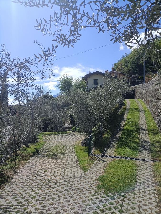 Casa Delle Olive 1 Apartment Oliveto Lario Екстериор снимка